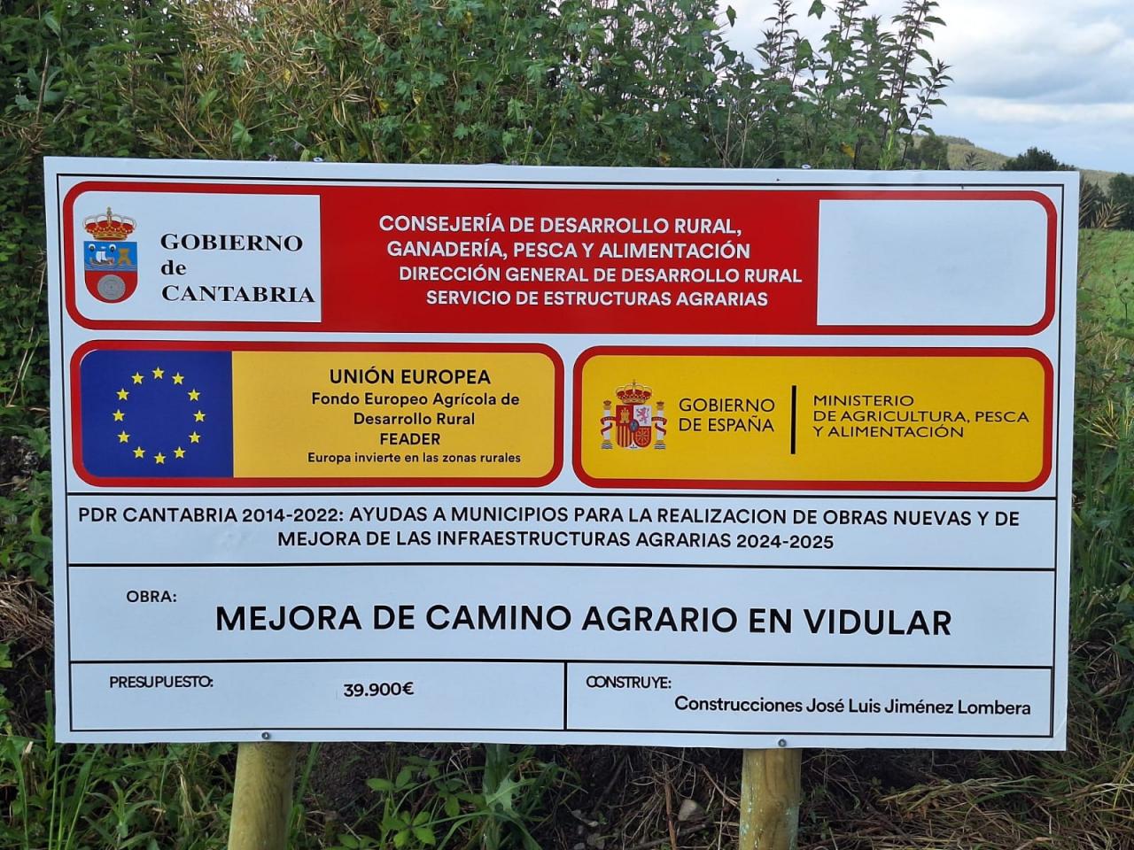 CARTEL VIDULAR