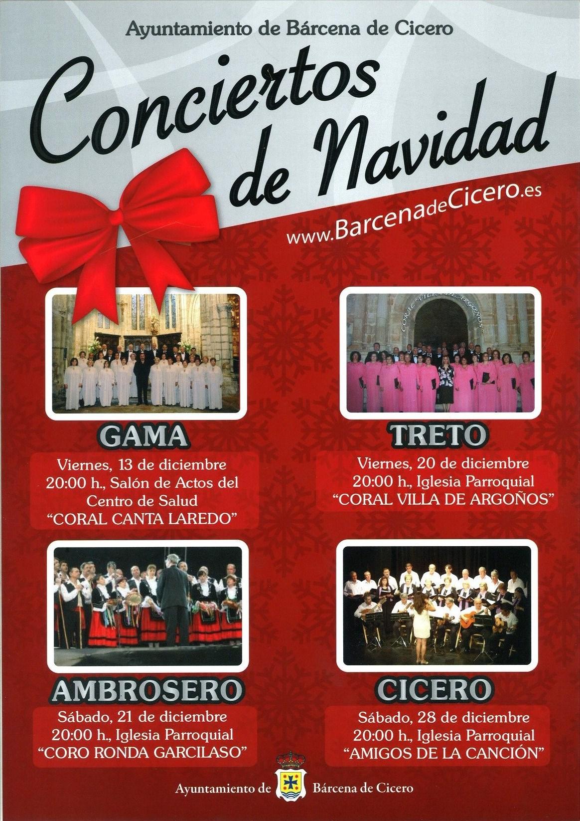 conciertos1386597489.jpg